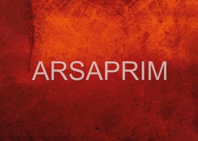 Fond de Page Calendriers Pompiers