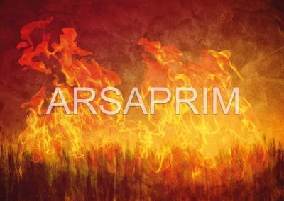 Fond de Page Calendriers Pompiers